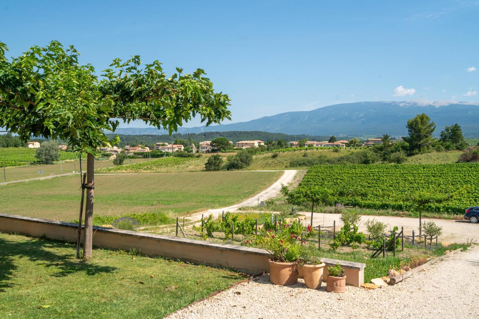 Willa Les Terrasses De Cascavelle Blauvac Zewnętrze zdjęcie